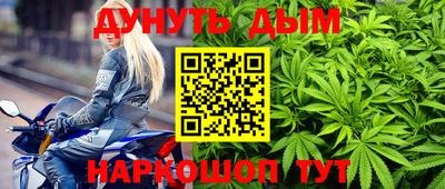 дмт Обь