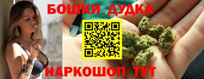 дмт Обь