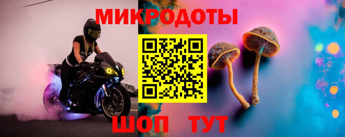 Псилоцибиновые грибы Cubensis  Галлюциногенные грибы Psilocybine cubensis  Петрозаводск  Вход с VPN 